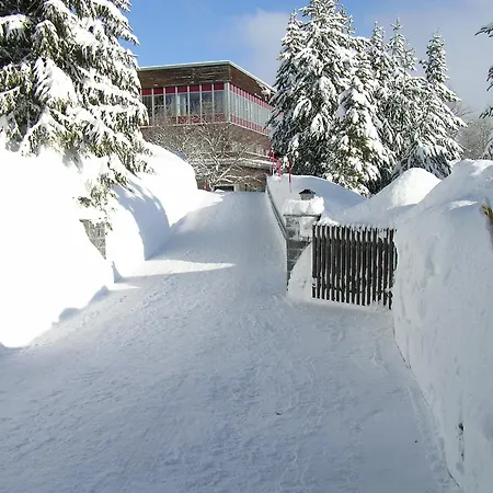 Am Zechengrund 3* Oberwiesenthal