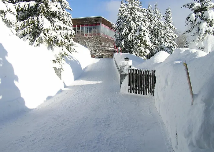 Am Zechengrund 3* Oberwiesenthal